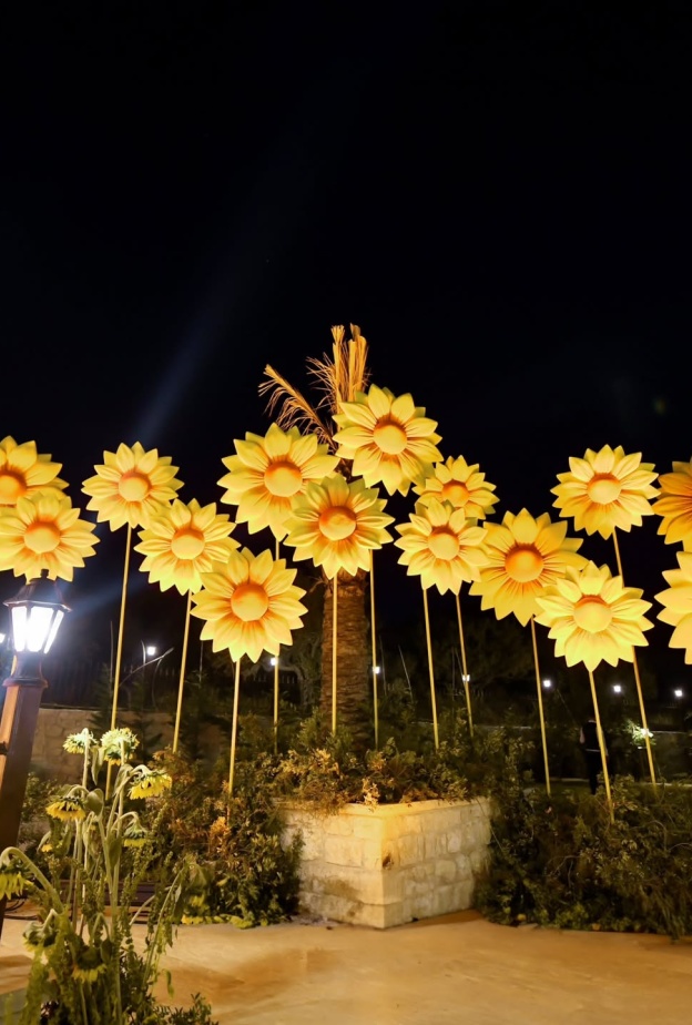 دوار الشمس حاضر في أعراس الخريف