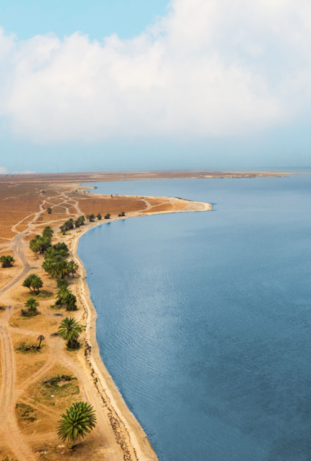 شاطئ العقير