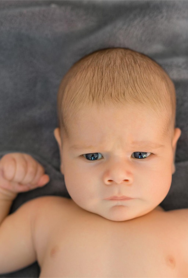 أسماء أولاد مستوحاة من الحيوانات القوية والشجاعة