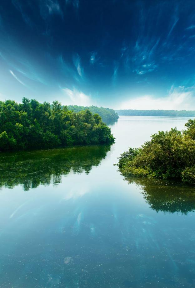 شتاء الإمارات… حين تفتح المحميات الطبيعية أبوابها لأجمل التجارب الخضراء