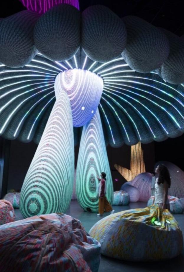 مهرجان القوز للفنون 2026.. نبض الإبداع يعود إلى السركال أفنيو