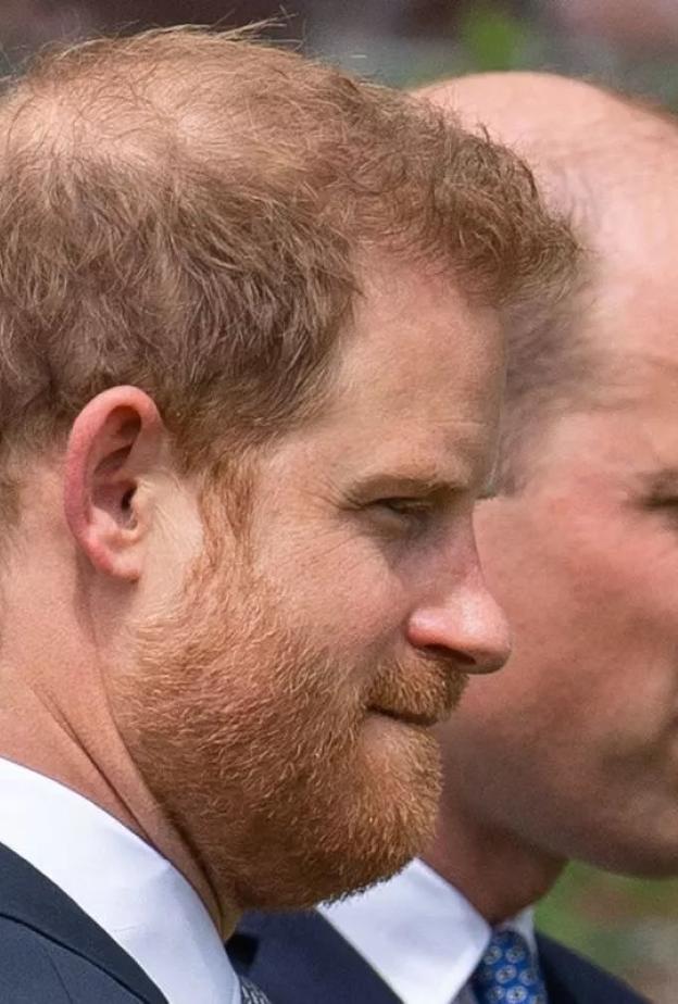 توقعات بتصاعد الخلاف بين الأمير ويليام والأمير هاري خلال عام 2026