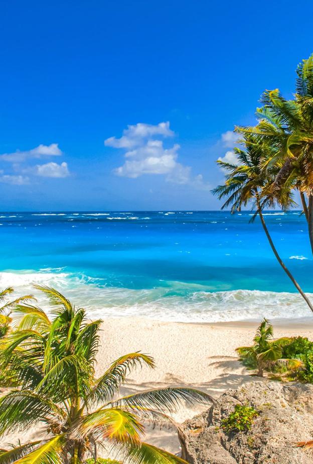 المناخ في بربادوس