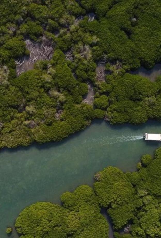 جزر فرسان.. رحلة إلى فردوس بحري يخطف الأنفاس في موسم الشتاء بالمملكة
