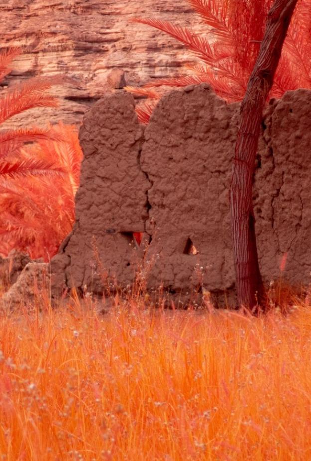 رحلة تجدد في العُلا.. حين تتنفس الروح وسط سكون الصخور