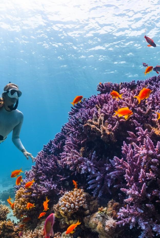 من الغوص إلى التأمل.. وجهات سعودية ساحرة تعيد التوازن لحياتك