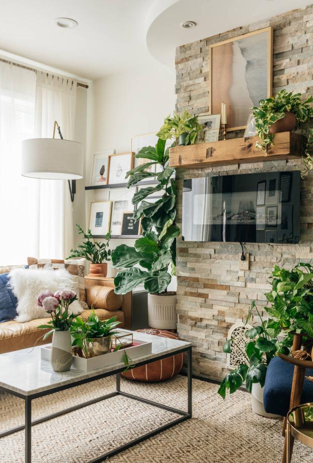 النباتات تعزز أجواء أي غرفة وتمنحها حيوية وانتعاش واضحين