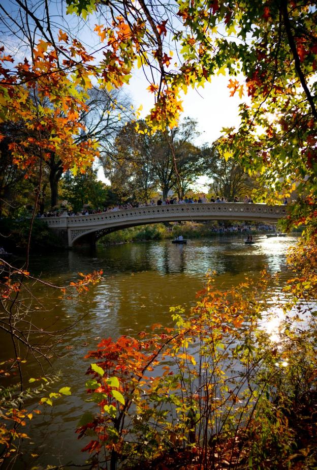 تجربة السياحة في نيويورك لعشّاق الخصوصية والفخامة