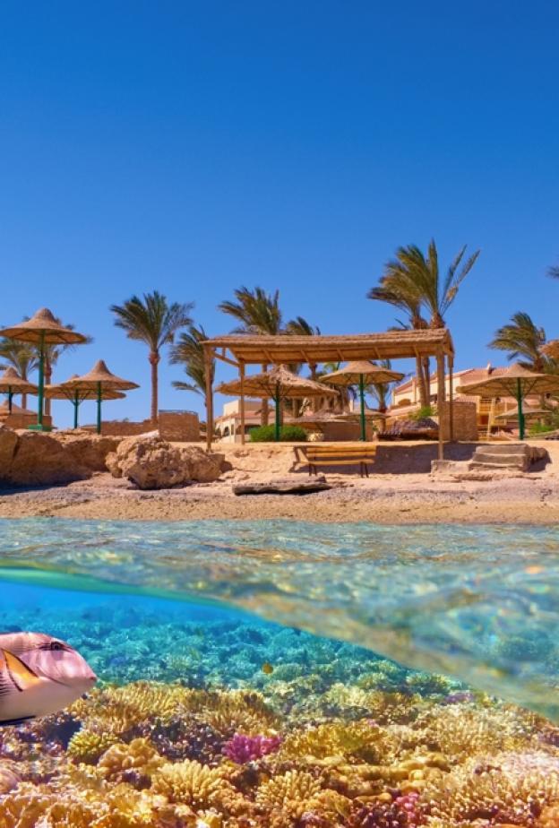 دليل هي لرحلات شهر العسل.. الغردقة عاصمة المصايف العربية