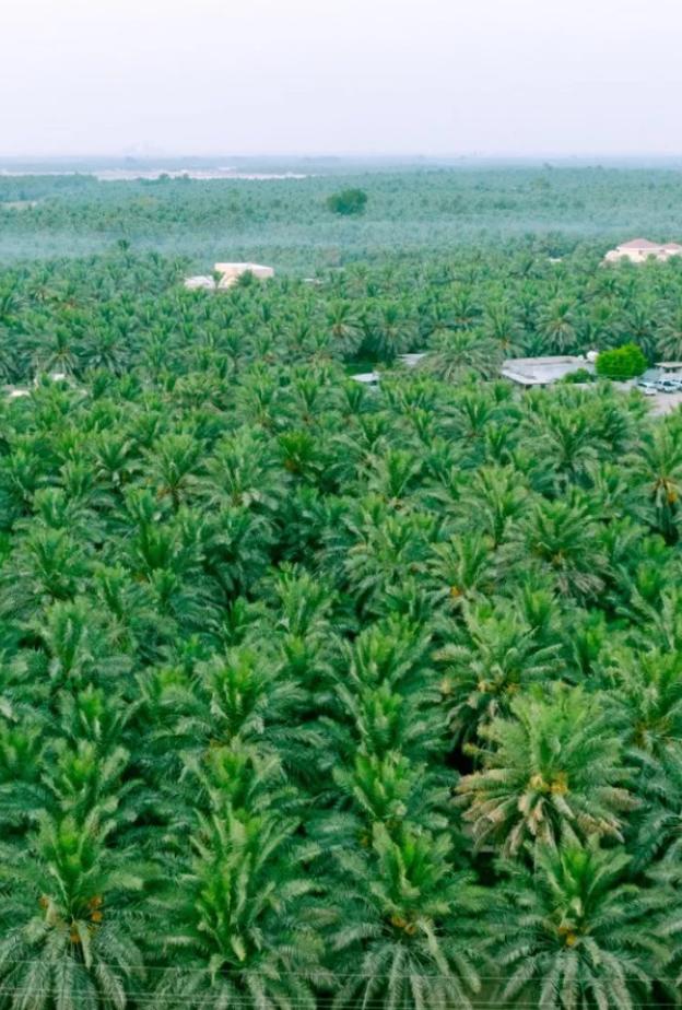 سحر الاستجمام في المنطقة الشرقية.. حيث يلتقي البحر بالتراث وتنبض اللحظات بتجارب لا تُنسى