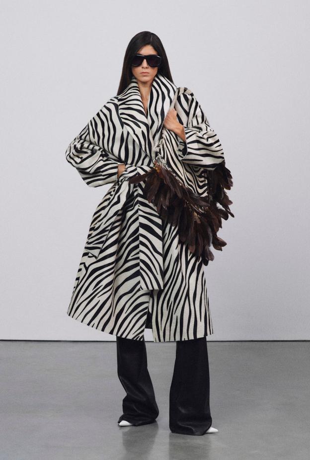 نقشة الحمار الوحشي‏