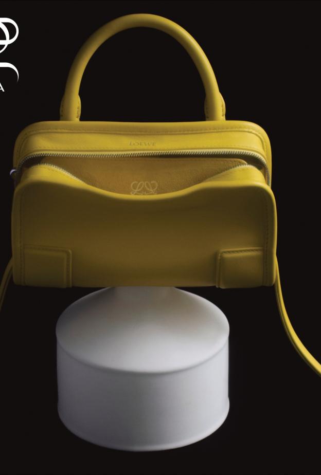 حقائب LOEWE بيان لوني استثنائي في جلسة تصوير خاصة بمجلة هي