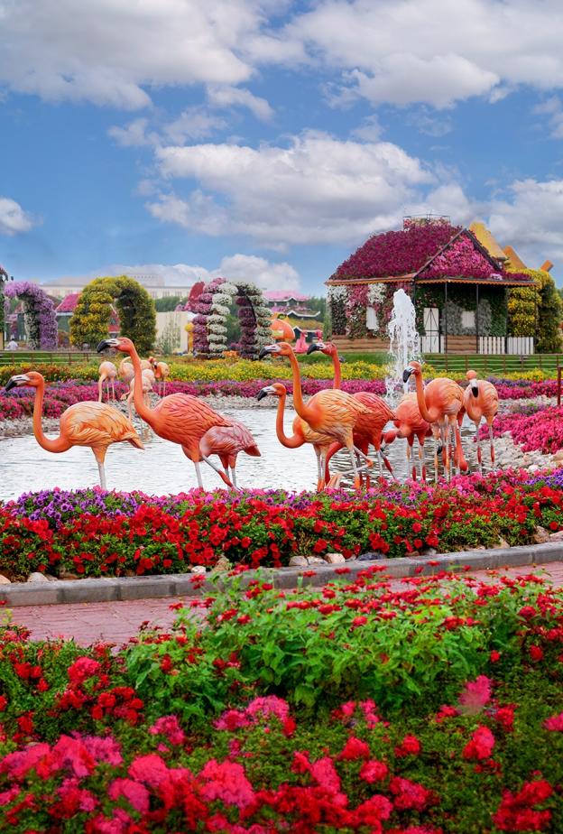 دليلك لتجربة ممتعة في دبي ميراكل جاردن… رحلة بين الزهور حيث تتحوّل الطبيعة إلى فن