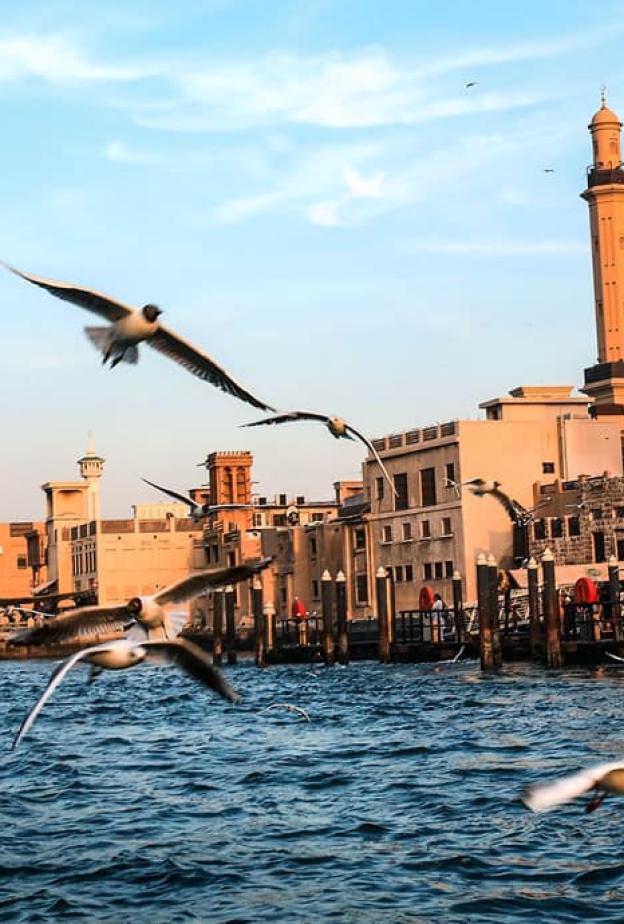 رحلة بين الماضي والحاضر في دبي.. دليلك لزيارة أفضل 10 وجهة تراثية في دبي