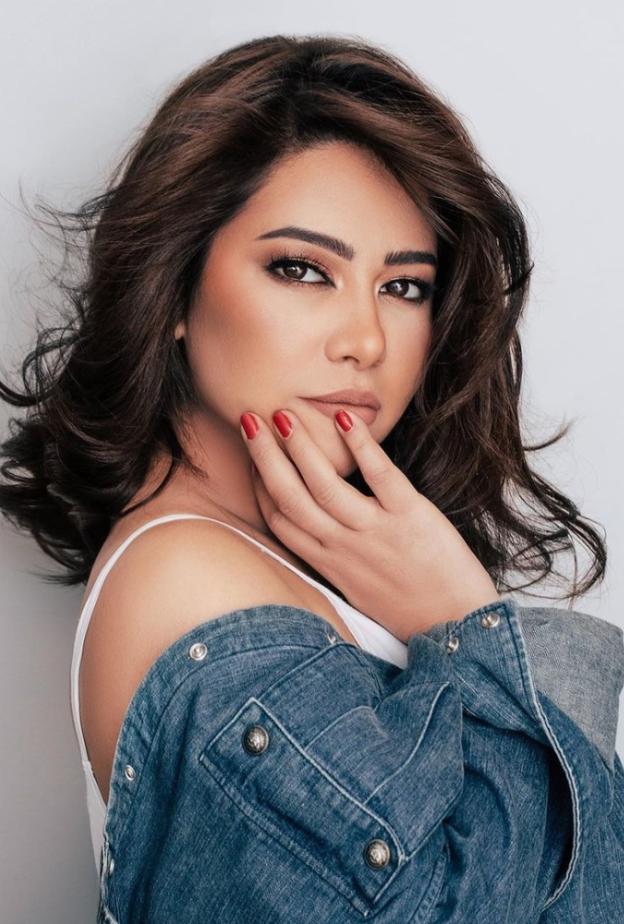 شيرين عبدالوهاب تطرح الحضن شوك