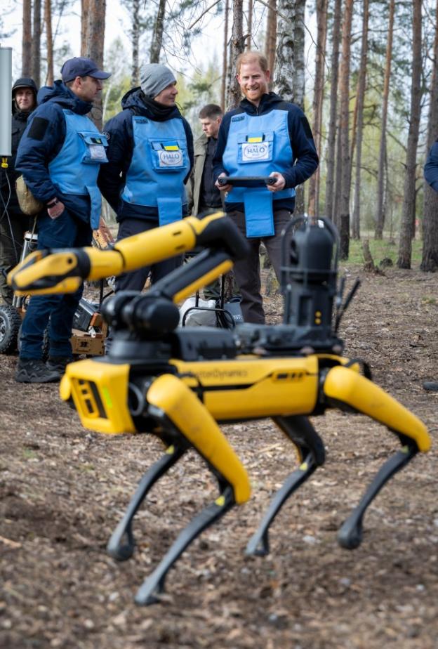 الأمير هاري في أوكرانيا