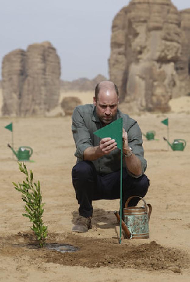 العُلا تزرع مليون نبتة محلية تعزّز من خلالها الاستدامة وتعيد إحياء الطبيعة