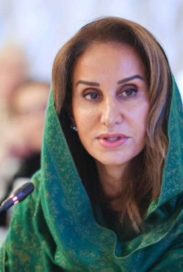 الأميرة الدكتورة مها بنت مشاري بن عبدالعزيز - الصورة من حساب مشاريع السعودية