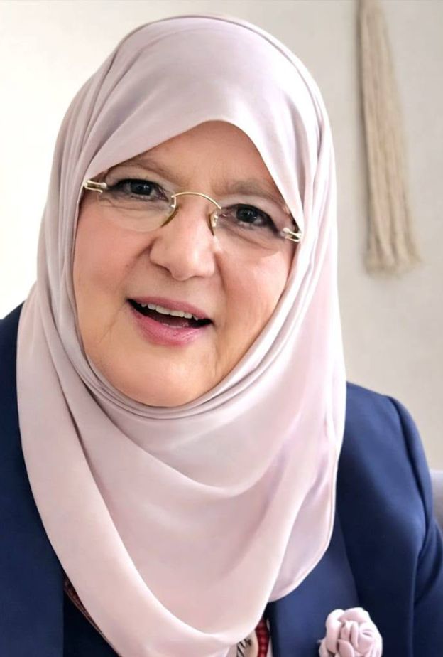 شمس البارودي 