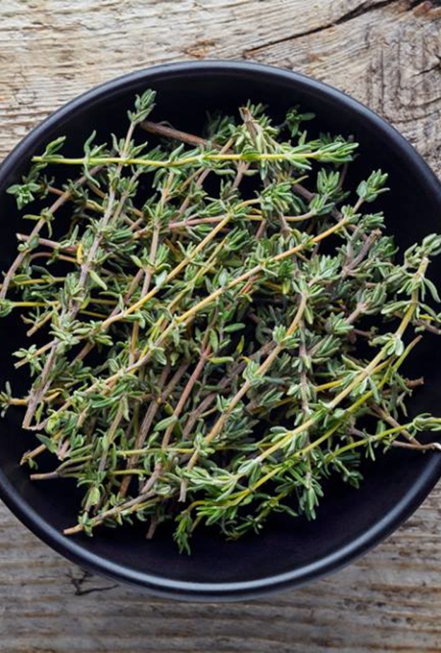 الزعتر يعزز مناعة الجسم ضد الأمراض