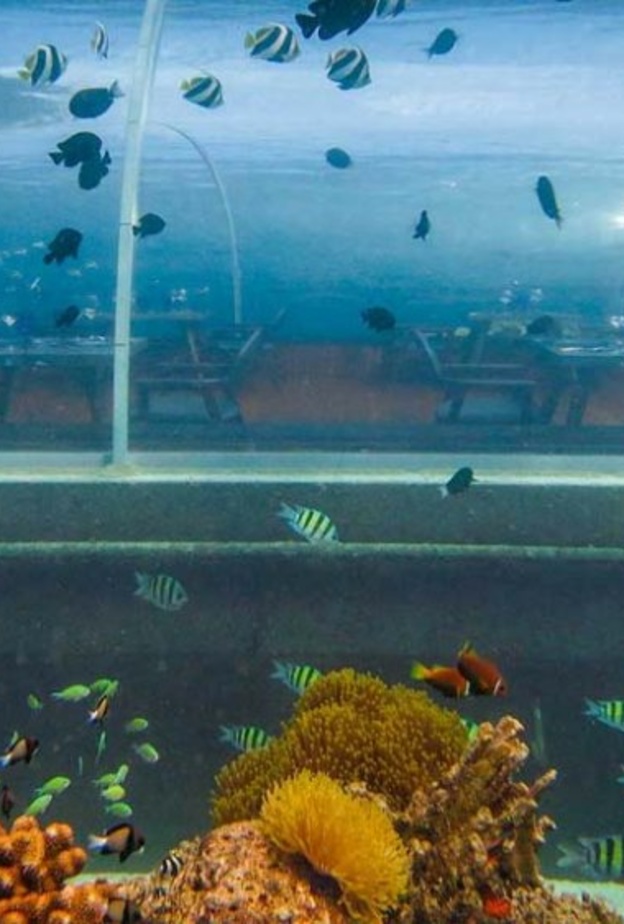 جزيرة "هورووالي"