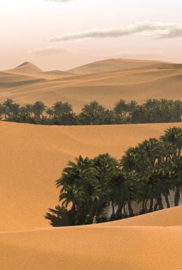 صحراء النفود السعودية 