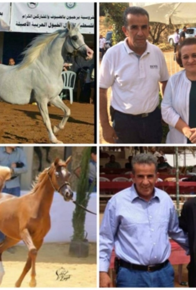 الاميرة عالية تفتتح بطولات الشرق الاوسط لجمال الخيول العربية 