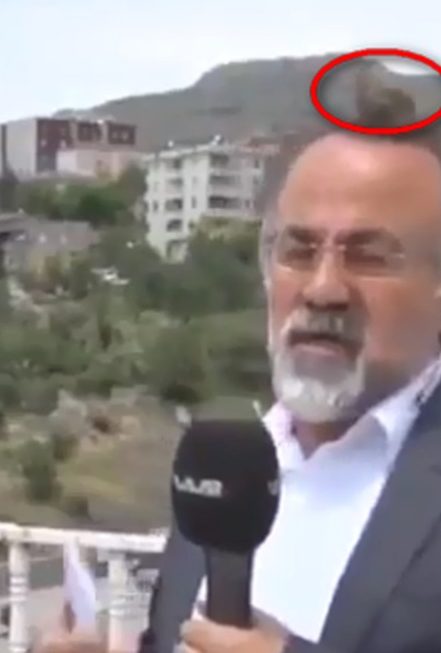 عصفور يستقر فوق رأس مذيع على الهواء