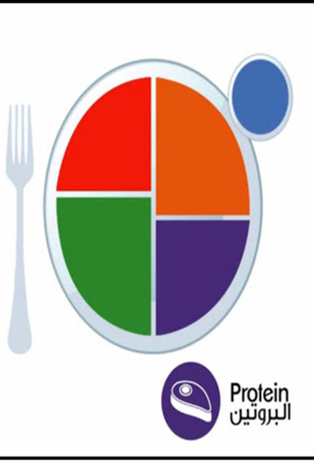 الطبق الصحي الجديد وتقسيم الاغذية فيه