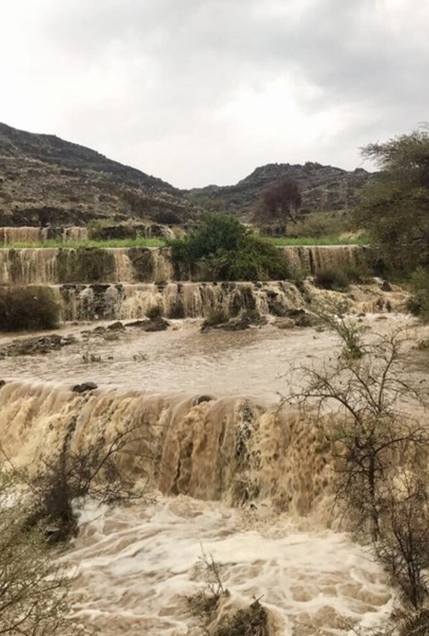 المدرجات الزراعية بالسعودية بعد هطول الأمطار