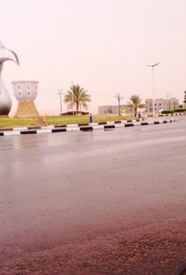 هطول الأمطار يشمل مدن حائل وغرب العاصمة السعودية الرياض ومدينة الرياض