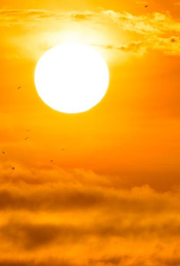 الأرصاد توقعت استمرار نشاط الرياح السطحية المثيرة للأتربة والغبار