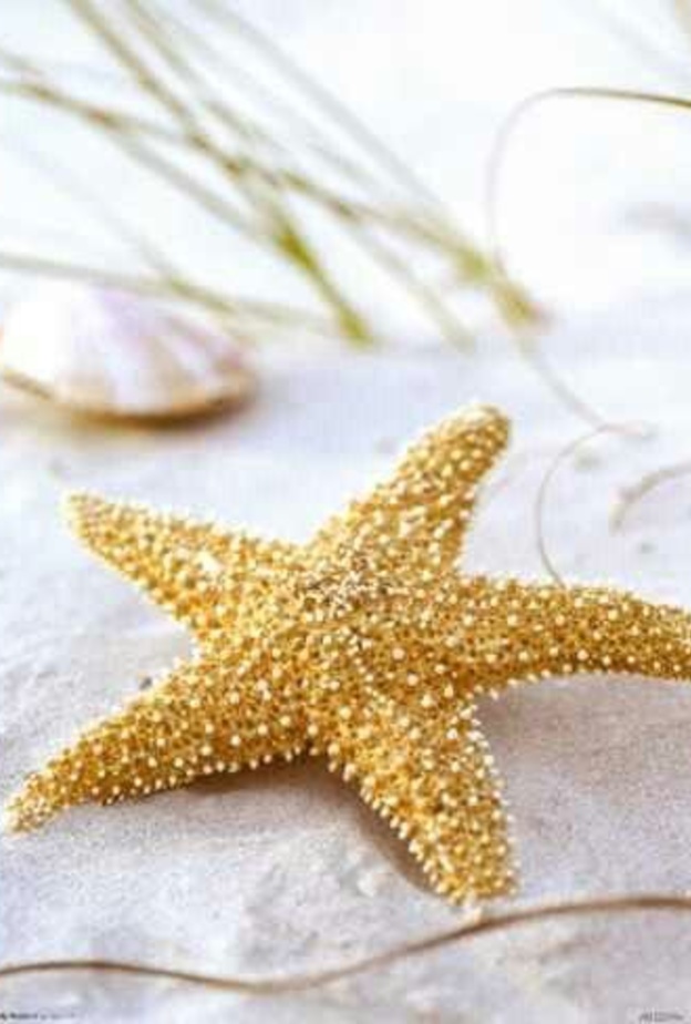 جزر كايمان.. مقصد الأثرياء والمشاهير