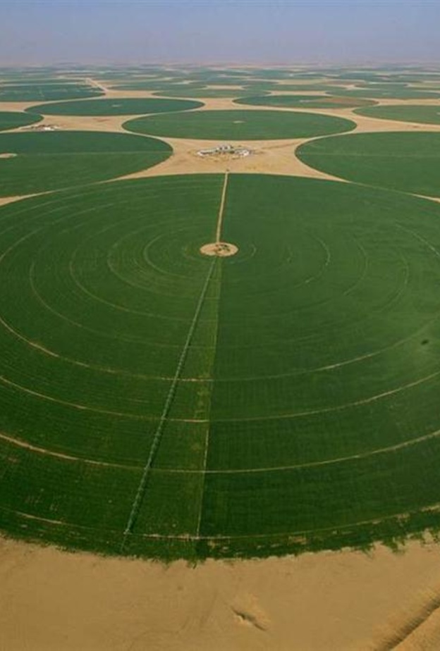 الوظائف المعلن عنها تشمل العديد من الوظائف للأطباء البيطريين 