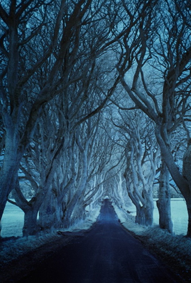 مسلسل  Downton Abbey – منزل إيرل جرانثام