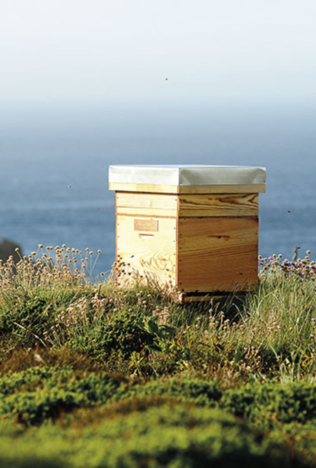 كريم العينَين