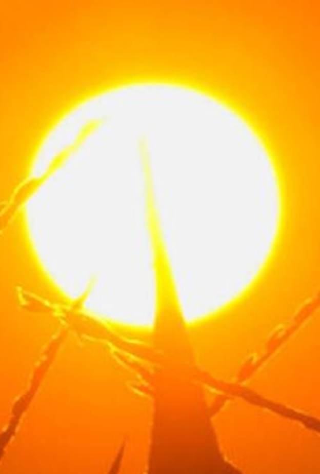 الأرصاد حذرت من الطقس الحار على مناطق شرق ووسط وأجزاء من غرب المملكة