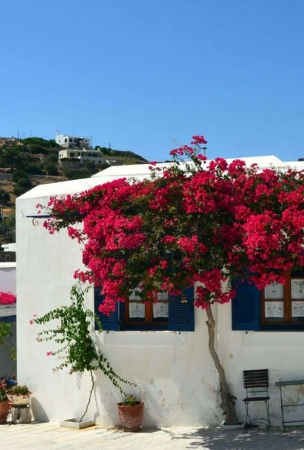 Lefkes واحدة من أجمل قرى مقاطعة كيكلادس