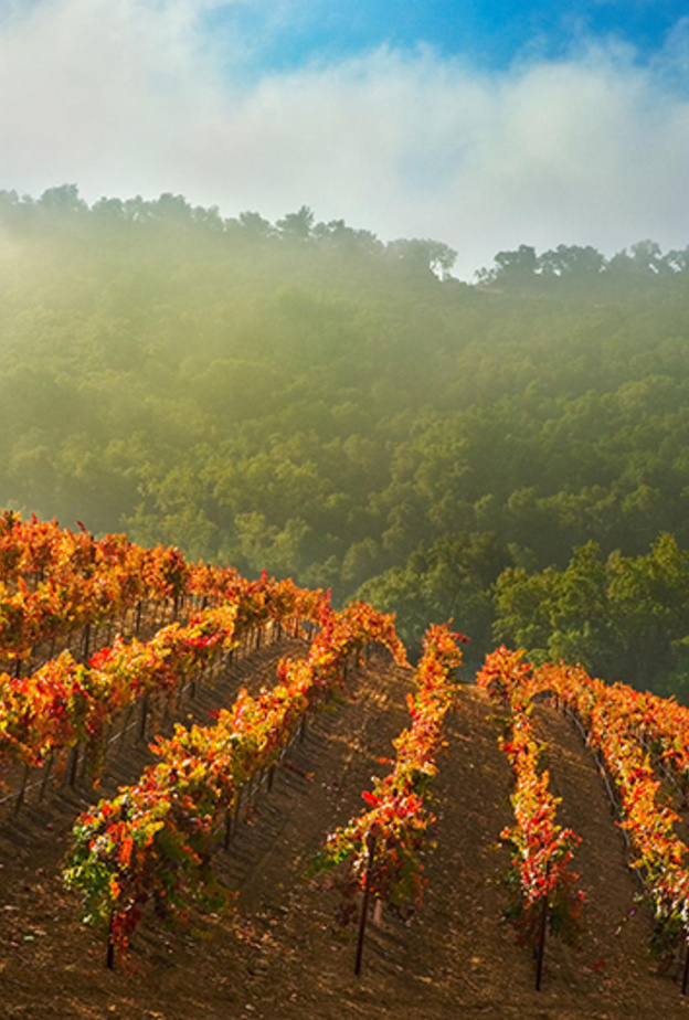 لوار فالي Loire Valley، فرنسا