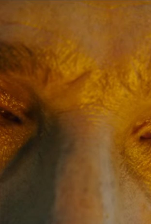 ماثيو ماكونهي