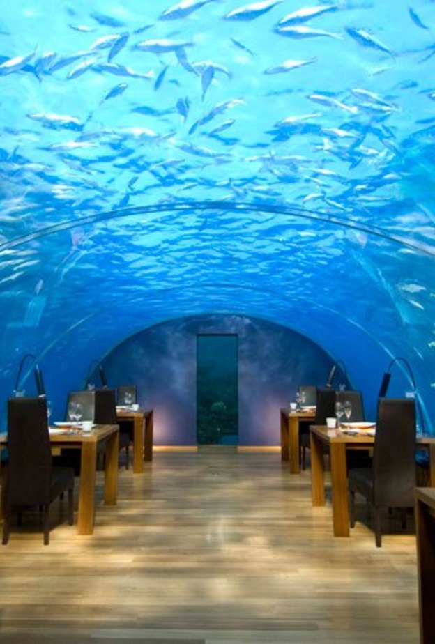 تحت المحيط في مطعم إتها Ithaa، جزر المالديف