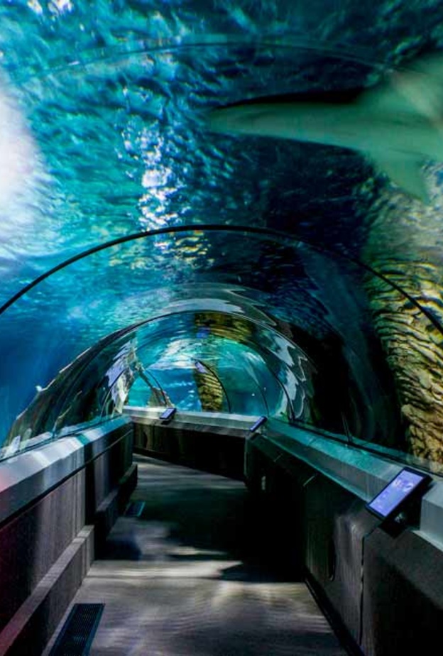 Underwater World