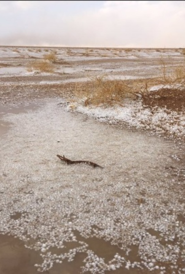 الطقس البارد يستمر حتى نهاية شهر فبراير