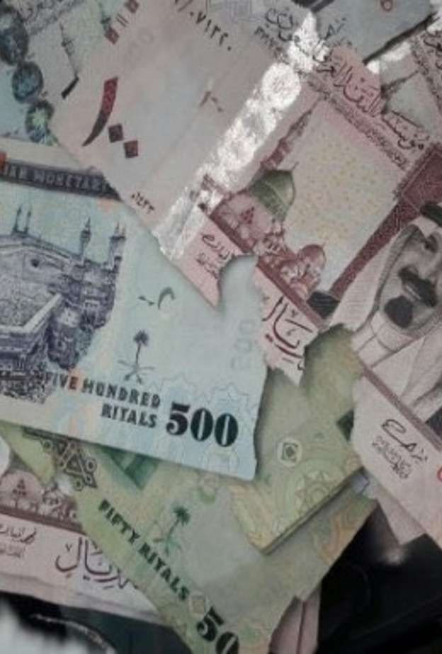 الفأر المشاغب ألتهم العديد من الأوراق النقدية 