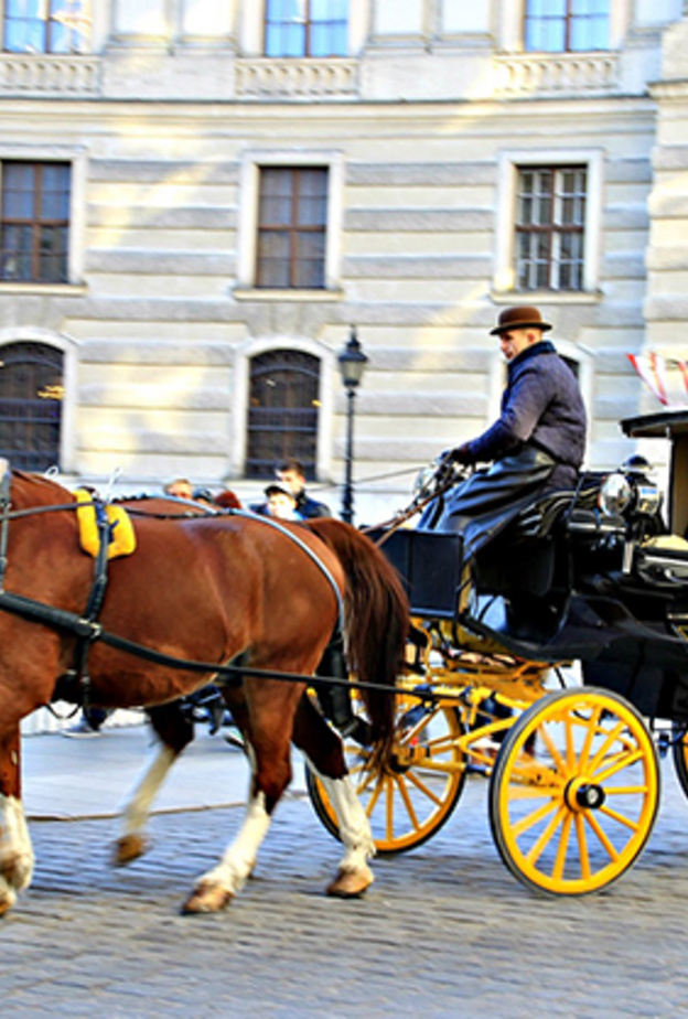 جولات الأحصنة في شوارع فيينا