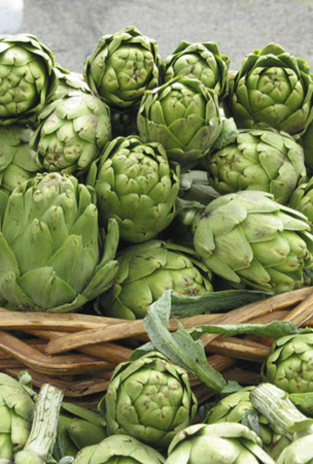 ما هي فوائد الخرشوف الصحية وطريقة استخدامه