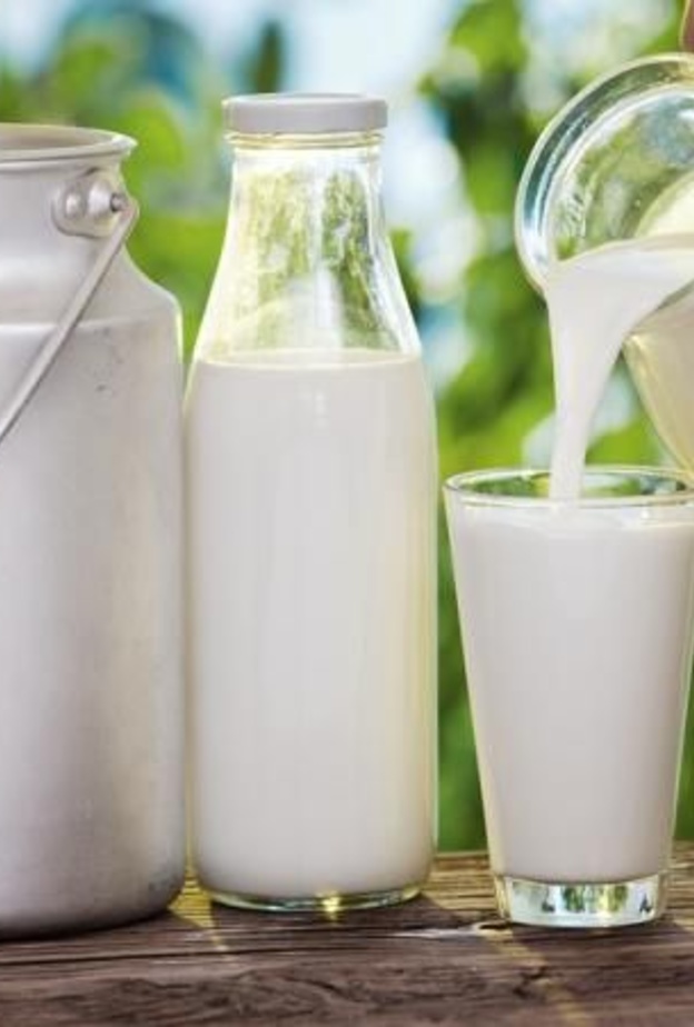 ما فائدة مشتقات الالبان قليلة الدسم في علاج الاكتئاب