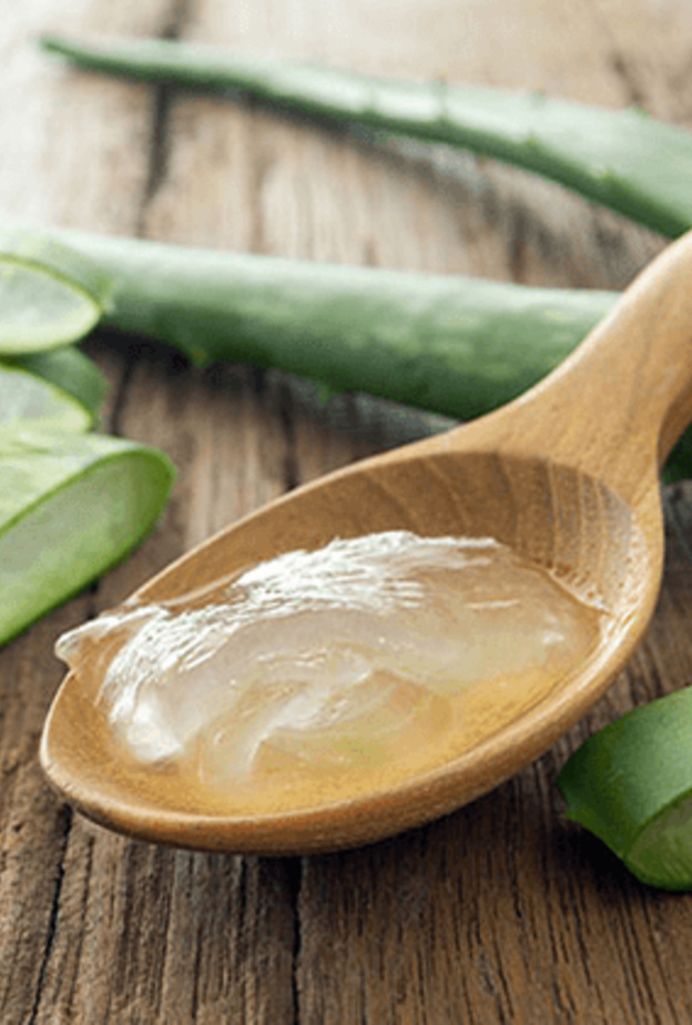 فوائد مرهم الصبار لتعقيم الجروح