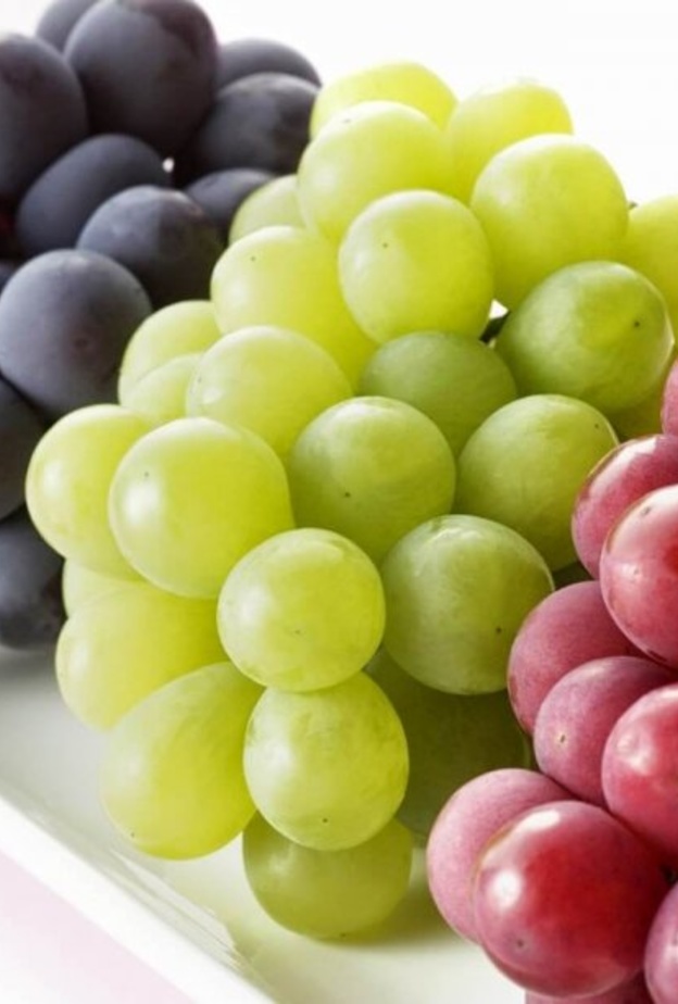 العنب من اشهر الفواكه في السعودية