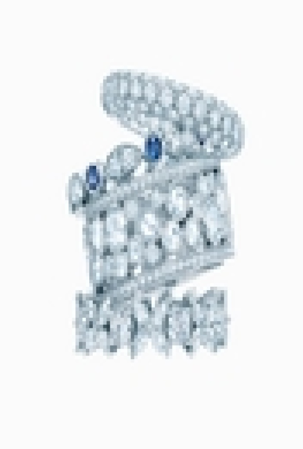 خواتم سيليبرايشن من  تيفاني  هدية لأغلى أم